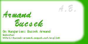 armand bucsek business card